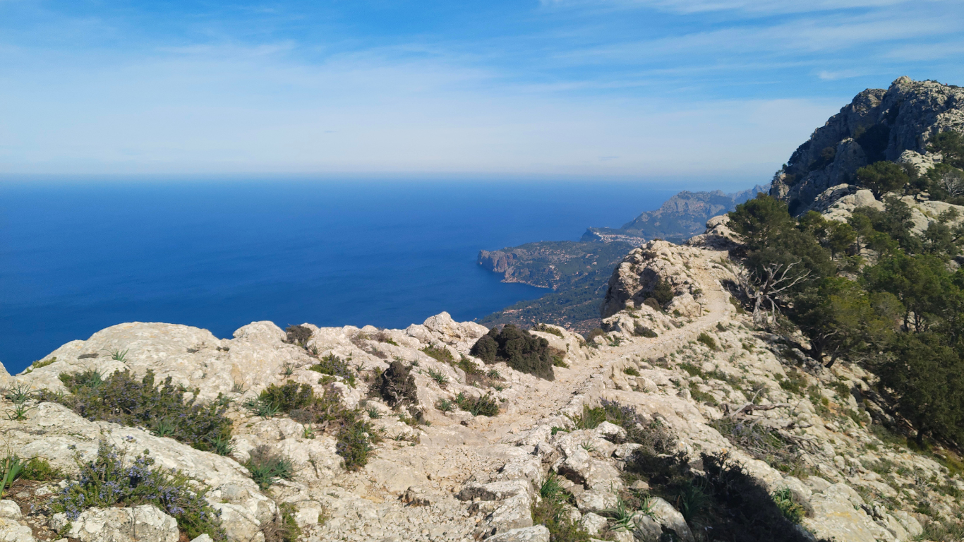 VALLDEMOSSA MALLORCA